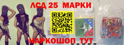 гидропоника Новозыбков