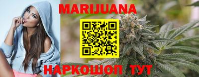 индика Новодвинск