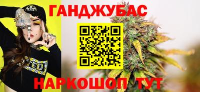 индика Новодвинск