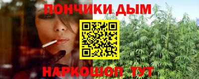 индика Новодвинск
