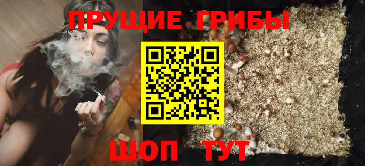 Псилоцибиновые грибы Magic Shrooms  Вход с VPN  как найти закладки  Сергиев Посад  Галлюциногенные грибы MAGIC MUSHROOMS 