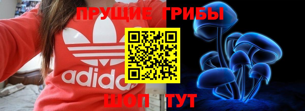 МЕФ Сергиев Посад